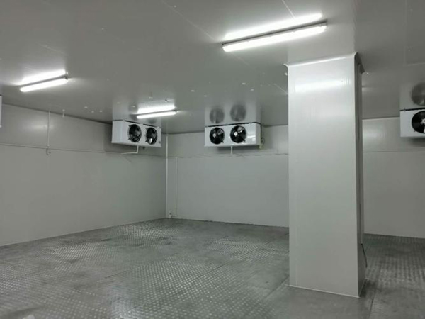 枞阳冷库工程安装设计
